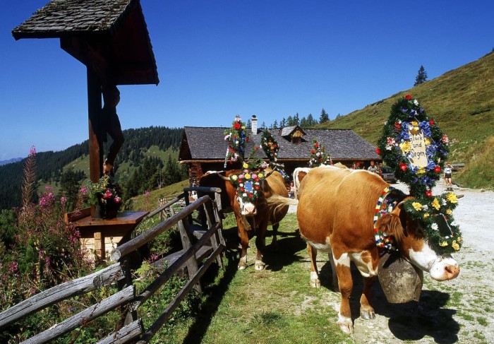 Almabtrieb zum Bauernherbst © TVB Großarltal